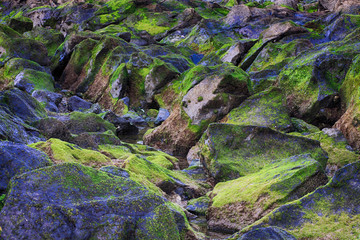 ROCAS VERDES NORTE