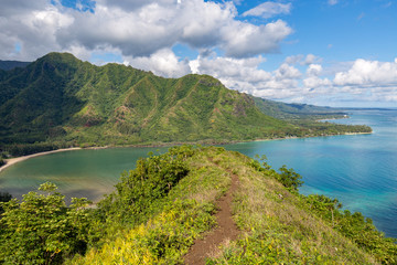 Fototapeta na wymiar Hiking the narrow ridge on the dangerous Puu Manamana hike on Oahu, Hawaii.