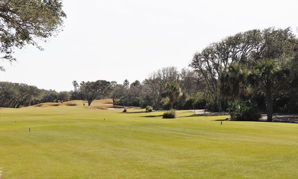 Golf course greens in a tropical setting