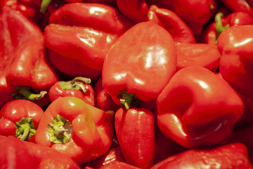 Heap of fresh ripe red pepper with branches.