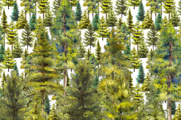pines and conifer forest watercolor - 222213043