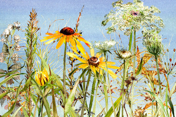 watercolor wildflower meadow - 222213280