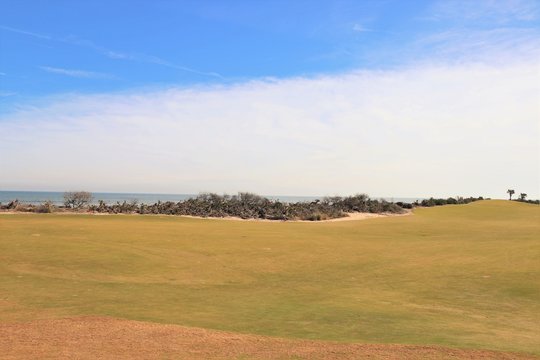 Golf course greens in a tropical setting