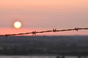 Barbed