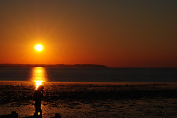 Silhouette 