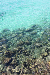 Naklejka na ściany i meble Beautiful clear blue sea and reef