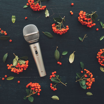 Microphone flat lay top view