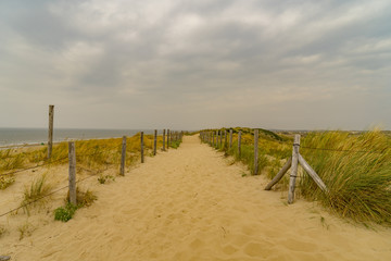 View to Dune Walk in Zaandvort