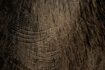 Fototapeta premium Wood texture with sawtooth traces closeup for background.
