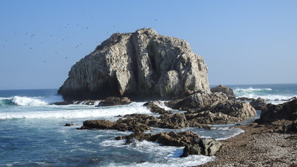 Fototapeta na wymiar Landscape, beach, rocky cliff, nature and birds