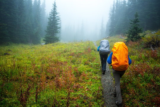 Two people hiking along a trail