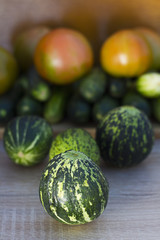 Organic tomatoes, fresh cucumber and unripe watermelon