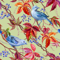 Seamless pattern from blue birds and wild grapes on a greenish background, watercolor drawing.