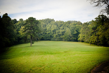 Beautiful Landscape with Trees