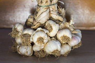 Fresh organic garlic and Yellow onion