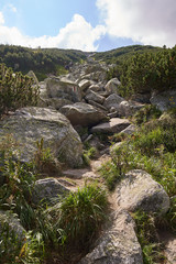 Hiking trail in the mountains
