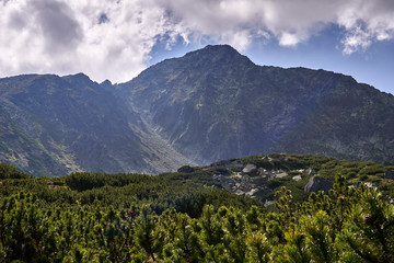 Hiking trail in the mountains