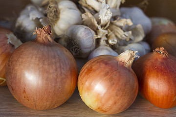 Fresh organic garlic and Yellow onion