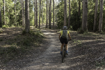 Female, baby boomer, cyclist riding on a path in the Amamoor State Forest Park, Queensland, Australia.