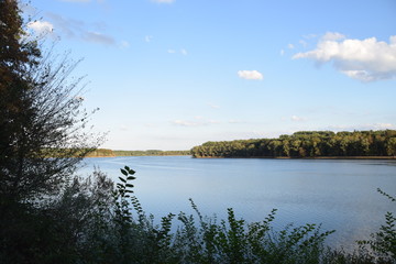 Aussicht auf einen See mit Bäumen am Ufer an einem Sommertag
