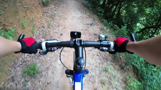 Mountain biking in a forest. POV point of View 4k