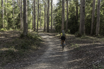 Female, baby boomer, cyclist riding on a path in the Amamoor State Forest Park, Queensland, Australia.