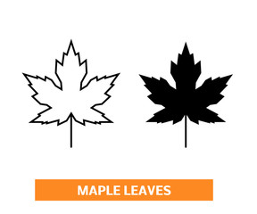 Vector maple leaf on white background