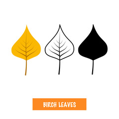 Vector birch leaves on white background