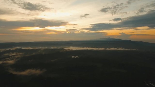 Aerial view of forest, mountains with fog, clouds at sunset on Bali,Indonesia. Tropical rainforest, trees, jungle in mountains. Fog over the jungle. Travel concept. Aerial footage.