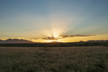 Fototapeta na wymiar A background image of Southeast Arizona's grasslands.