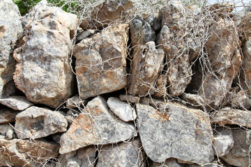 Close up of old Spanish stone wall with dried plants covering it