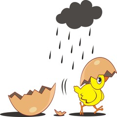 Chicks out of egg shells in the ain. vector illustration