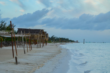 Palapas on a sandy beach of Gulf of Mexico