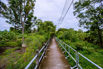 Obraz premium Backgrounds, roads used in the community, can be cycled, scenic travel, ecotourism, often seen by major tourist attractions and gardens of villagers, wooden houses on the way.