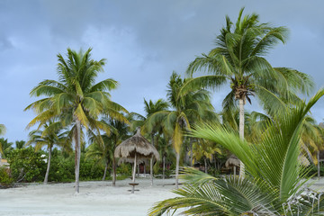 Palapas and palm trees on a sandy beach of Gulf of Mexico