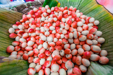 Bengal Currant, Carissa carandas, colorful, can be used for cooking or making a variety of desserts, useful to help the body refresh and rejuvenate.