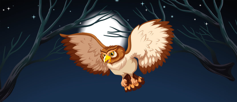 An owl hunting at night