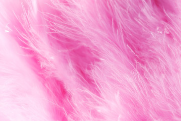 Macro shot of pink bird fluffy feathers in soft and blur style