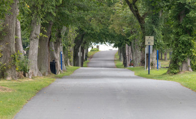 Naklejka premium Titanic Grave Site Halifax Nova Scotia Canada, summer, no people, history, disaster.