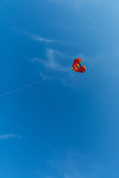 red kite ladybug in the sky © Svetlana