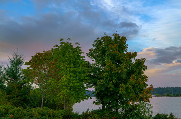 Obraz premium Puget Sound Sunset