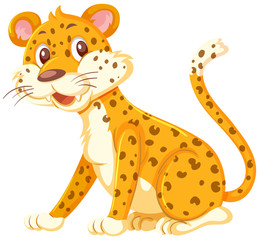 A leopard on white background