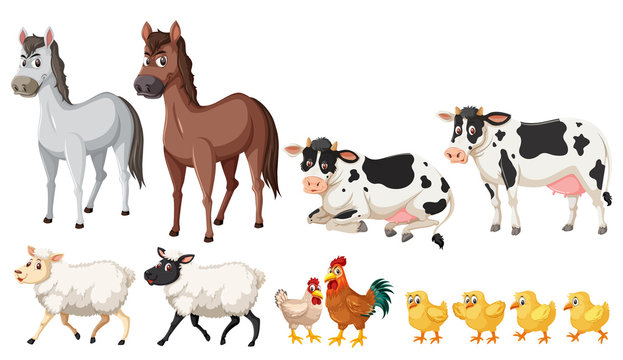A set of farm animals on white background