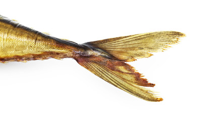 Fischflosse im Detail