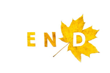 End. Letters carved from wedge leaves