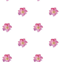 Naklejka premium seamless pattern with watercolor drawing flowers