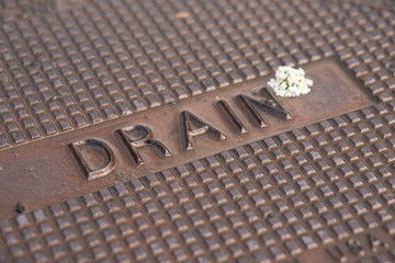 drain cover