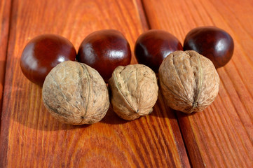 Walnuts and chestnuts in row on wooden background