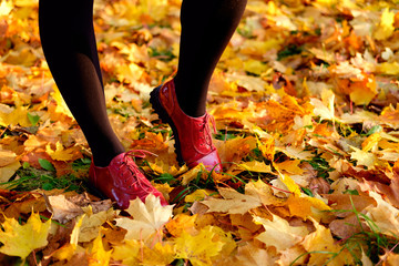 Woman's feet in red autumn patent leather shoes standing among yellow maple leaves.