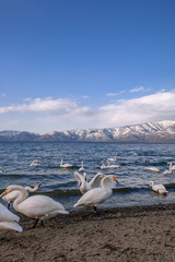 屈斜路湖